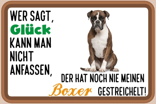 Blechschild 18x12 glück nicht - blechschild,