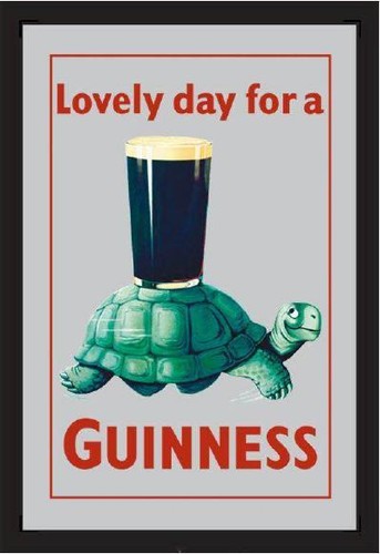 Guinness turtle bier - turtle, spiegel